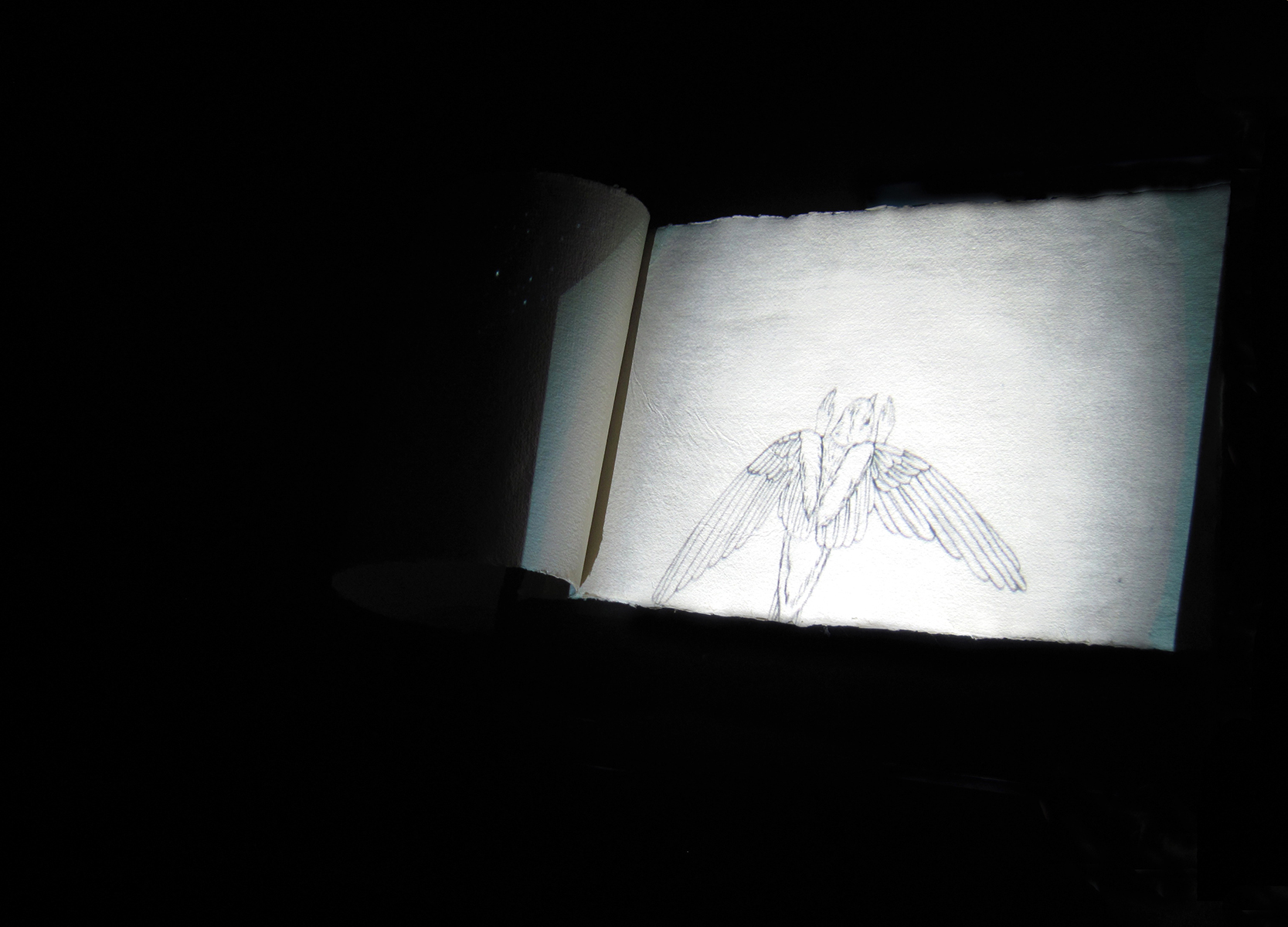 Llibre de meravelles